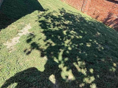 Lawn Care service in River Oaks, 76114