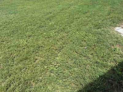 Lawn Care service in Riverview, 33578