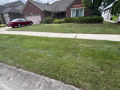 Lawn Care service in Macomb, 48044