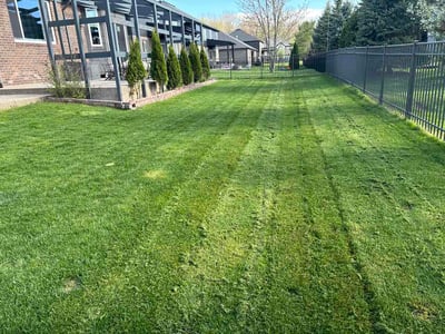 Lawn Care service in Macomb, 48044