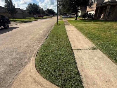 Lawn Care service in Fresno, 77545