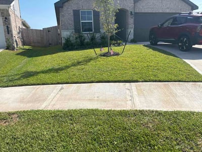 Lawn Care service in Fresno, 77545