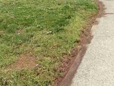 Lawn Care service in Holden, 01520