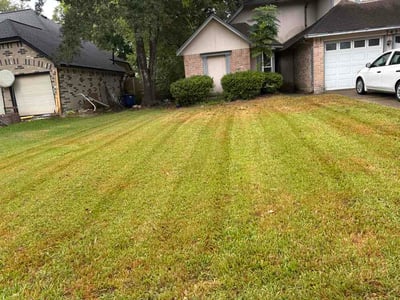 Lawn Care service in League City, 77573