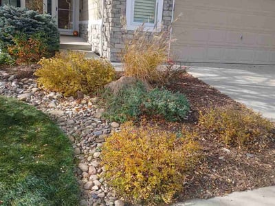 Leaf Removal service in Littleton, 80120