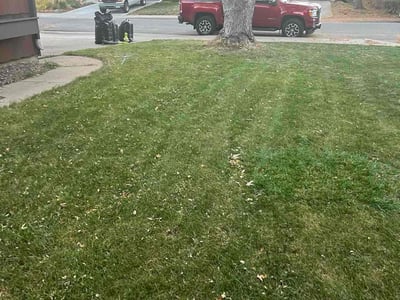 Leaf Removal service in Littleton, 80120