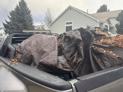 Leaf Removal service in Littleton, 80120