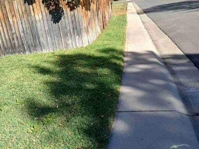 Leaf Removal service in Littleton, 80120