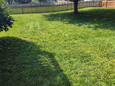 Lawn Care service in Parkville, 64152