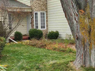 Leaf Removal service in Littleton, 80120