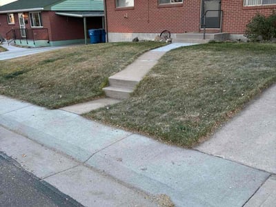 Leaf Removal service in Littleton, 80120