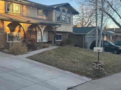Leaf Removal service in Littleton, 80120