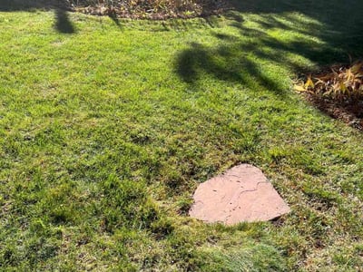 Leaf Removal service in Littleton, 80120