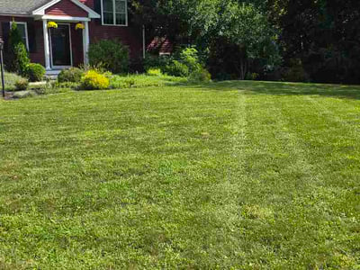 Lawn Care service in Marshfield, 02050