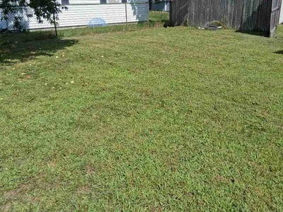 Lawn Care service in West Springfield, 01089