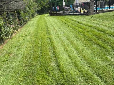 Lawn Care service in Enfield, 06082