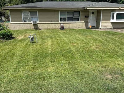 Lawn Care service in La Marque, 77568