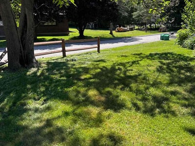 Lawn Care service in Mansfield, 02048