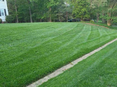 Lawn Care service in Chesterfield, 23832