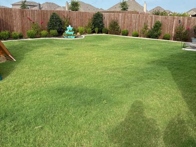 Lawn Care service in Crowley, 76036