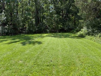 Lawn Care service in Woodford, 22580