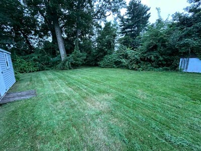 Lawn Care service in Manchester, 06040