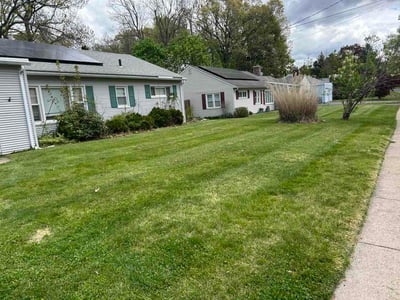 Lawn Care service in Manchester, 06040