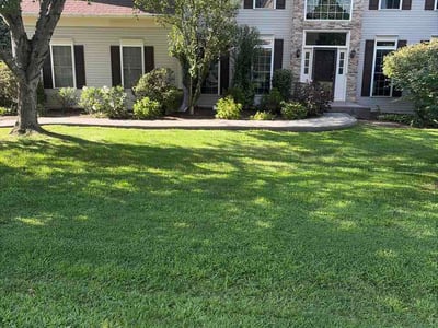 Lawn Care service in Stafford, 22554