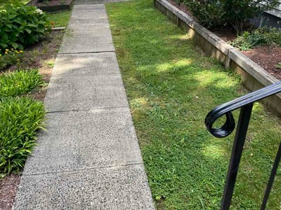 Lawn Care service in Bristol, 06010