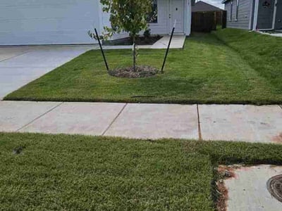 Lawn Care service in Flower Mound, 75022