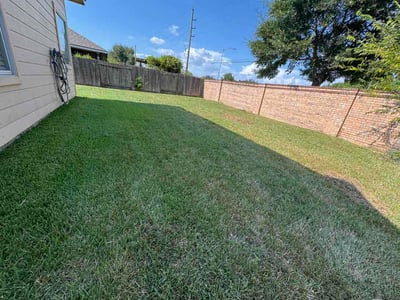 Lawn Care service in Richmond, 77469