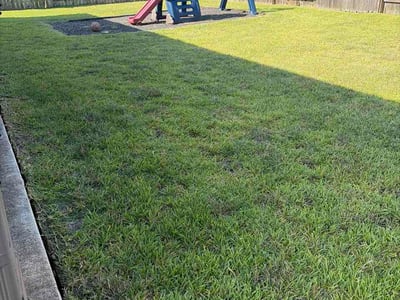 Lawn Care service in Richmond, 77469
