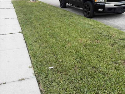 Lawn Care service in Sunrise, 33322