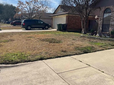 Leaf Removal service in Arlington, 76010