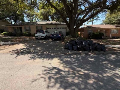 Leaf Removal service in Arlington, 76010