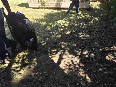 Leaf Removal service in Arlington, 76010