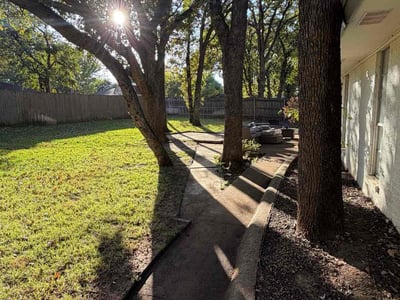 Leaf Removal service in Arlington, 76010