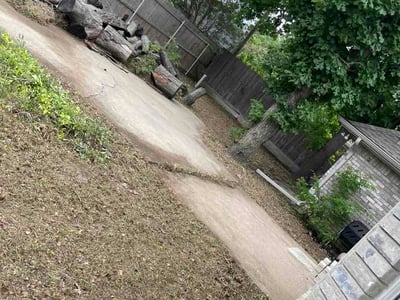 Leaf Removal service in Arlington, 76010