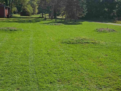 Lawn Care service in Flushing, 48433