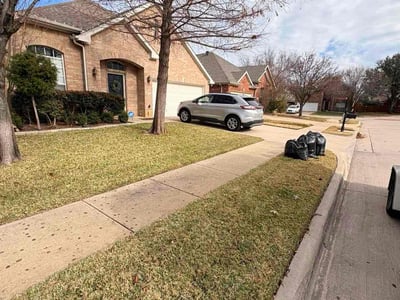 Leaf Removal service in Arlington, 76010
