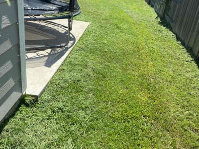 Lawn Care service in Montgomery, 77316