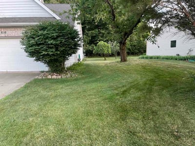 Lawn Care service in Eaton Rapids, 48827