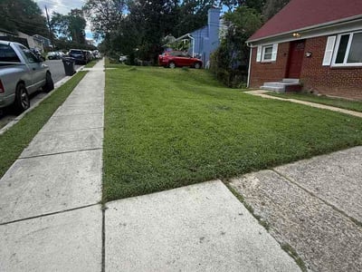 Lawn Care service in Centreville, 20120
