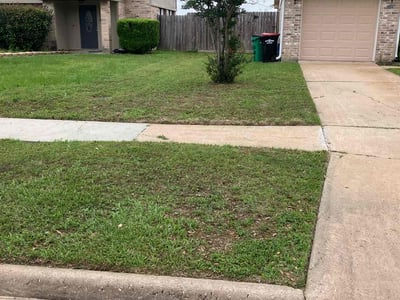 Lawn Care service in Trumbull, 06611