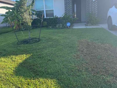 Lawn Care service in Katy, 77493