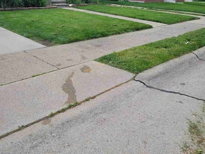 Lawn Care service in Dearborn, 48126