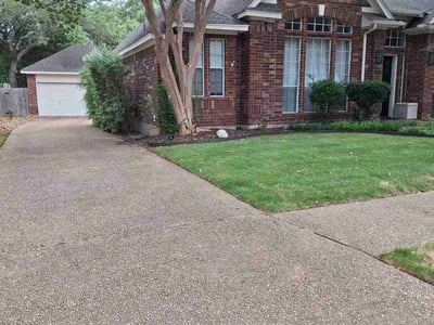 Lawn Care service in Alamo Heights, 78209