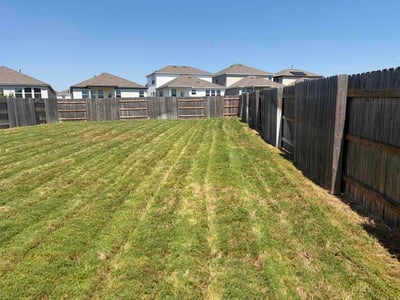 Lawn Care service in Alamo Heights, 78209