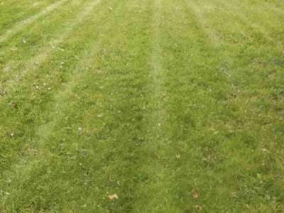 Lawn Care service in Grosse Pointe, 48230