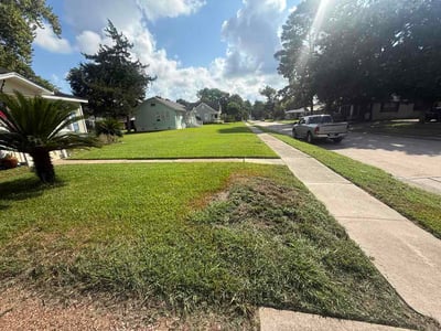 Lawn Care service in Sugar Land, 77479